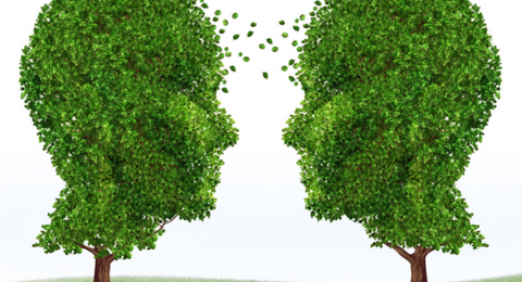 communication environnementale